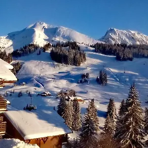 Appartement La Belle Etoile, Manigod